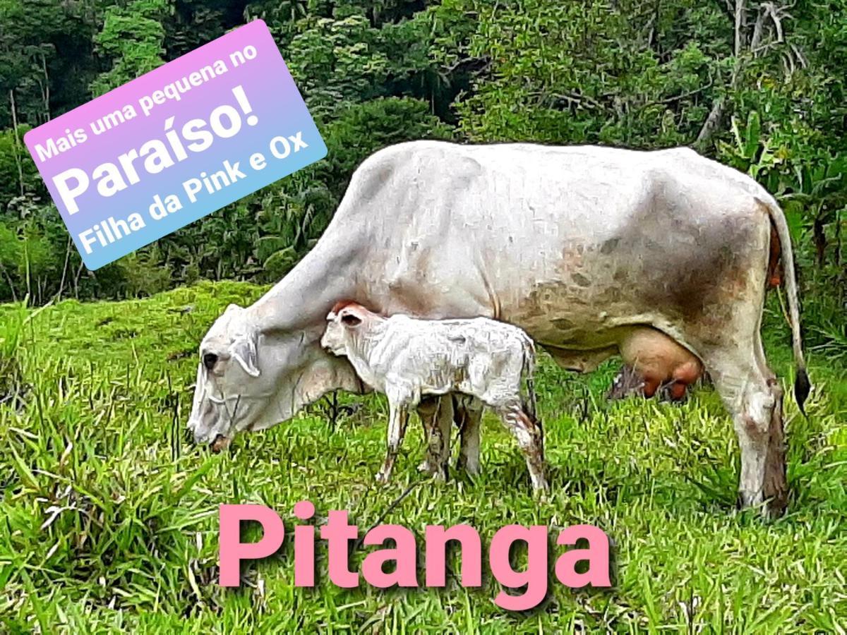 Fazendinha Paraiso 卢米亚 外观 照片