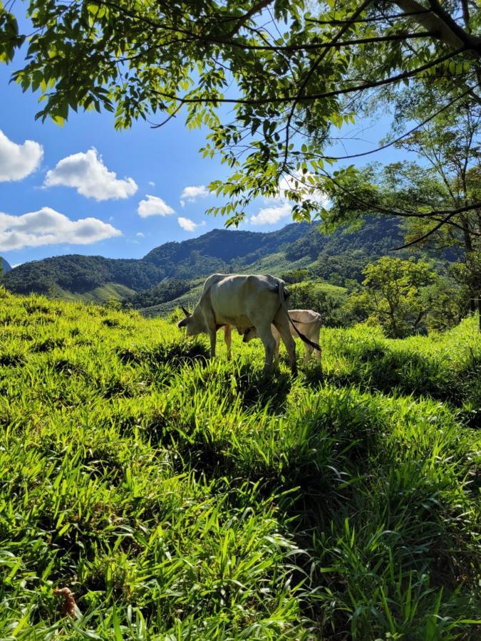 Fazendinha Paraiso 卢米亚 外观 照片