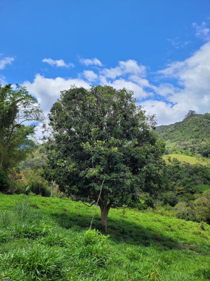 Fazendinha Paraiso 卢米亚 外观 照片